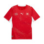 Offizielles Puma Schweiz Fantrikot zum World Cup 2026